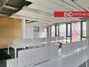 Pronájem kanceláře, Brno, 600 m2