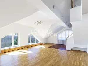 Pronájem bytu 6+kk a větší, Praha - Braník, Psohlavců, 290 m2
