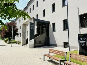 Pronájem kanceláře, Písek - Pražské Předměstí, Vladislavova, 20 m2