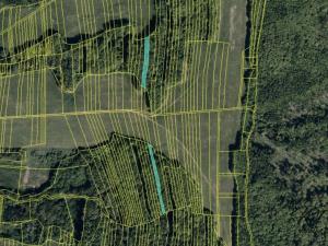 Prodej lesa, Hřivínův Újezd, 3317 m2