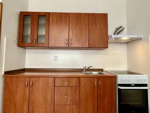 Pronájem bytu 1+kk, Havířov - Šumbark, Střední, 30 m2