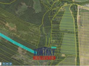 Prodej lesa, Městečko Trnávka, 17620 m2