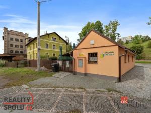 Prodej rodinného domu, Kostelec nad Orlicí, Mánesova, 90 m2