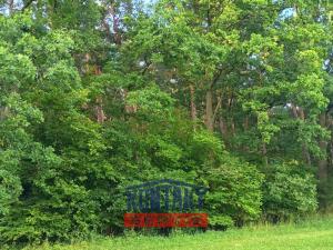 Prodej lesa, Hracholusky - Žitná, 6862 m2