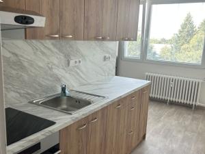 Pronájem bytu 1+1, Lázně Bohdaneč, Na Lužci, 45 m2