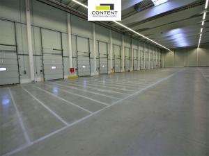 Pronájem výrobních prostor, Ledce, 11800 m2