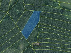 Prodej lesa, Jílovice, 13252 m2