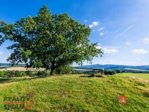 Prodej pole, Chrastava - Horní Chrastava, Frýdlantská, 11539 m2