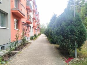 Pronájem bytu 3+kk, Milovice - Mladá, Komenského, 45 m2