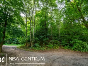 Prodej lesa, Jablonec nad Nisou - Jablonecké Paseky, 5031 m2