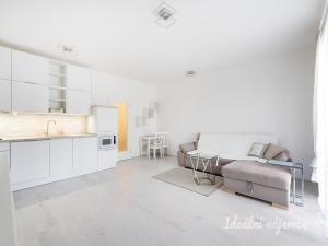 Pronájem bytu 1+kk, Brandýs nad Labem-Stará Boleslav - Stará Boleslav, Hlavenecká, 38 m2