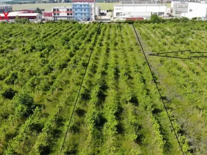 Prodej komerčního pozemku, Brno, 2465 m2