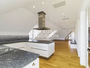 Pronájem bytu 6+kk a větší, Praha - Nové Město, Novomlýnská, 269 m2