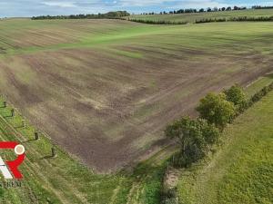 Prodej pole, Velešovice, 1567 m2