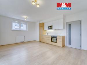 Pronájem bytu 1+kk, Heřmanova Huť - Vlkýš, U Pondu, 34 m2
