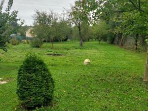 Prodej zahrady, Kroměříž, 1378 m2