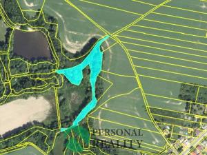 Prodej lesa, Krchleby, 6771 m2