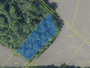 Prodej lesa, Děčany, 1581 m2