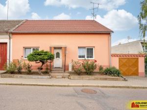 Prodej rodinného domu, Hrušovany nad Jevišovkou, 114 m2