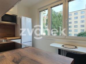 Pronájem bytu 1+1, Zlín - Malenovice, Husova, 32 m2