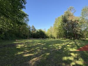 Prodej louky, Sušice, 4200 m2