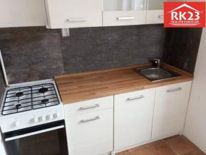 Pronájem bytu 1+1, Cheb, Mánesova, 25 m2