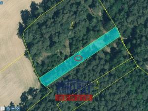 Prodej lesa, Křelovice - Rozněvice, 22768 m2