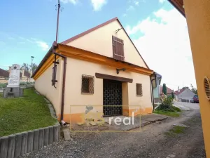 Prodej - jiné, Velké Hostěrádky, 140 m2