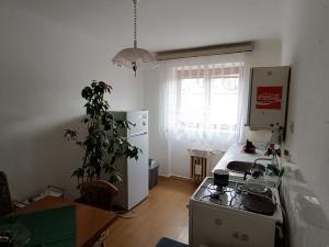 Prodej bytu 2+1, České Budějovice - České Budějovice 3, Otakarova, 57 m2