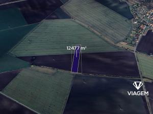 Prodej podílu pole, Dobšice, 311 m2