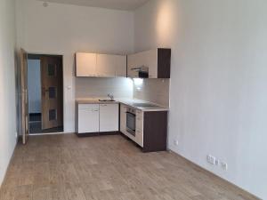 Pronájem bytu 1+kk, Meziboří, nám. 8. května, 30 m2