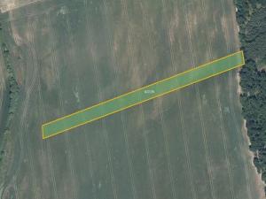 Prodej pole, Džbánice, 6560 m2