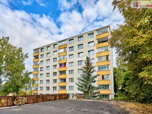 Prodej bytu 3+1, Karlovy Vary - Drahovice, Gagarinova, 60 m2