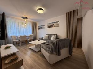 Pronájem bytu 2+1, Chomutov, Dostojevského, 55 m2