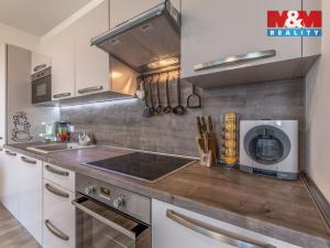 Prodej bytu 2+kk, Mladá Boleslav - Michalovice, 81 m2