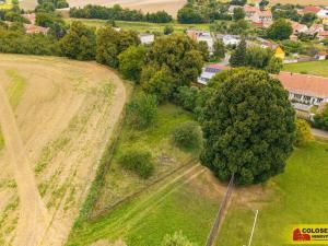 Prodej zahrady, Kojátky, 1003 m2