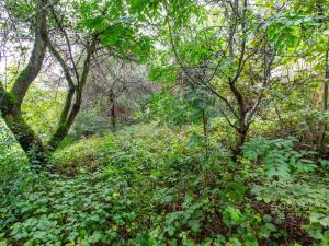 Prodej zahrady, Praha, 644 m2