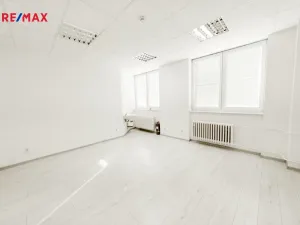 Pronájem obchodního prostoru, Havířov, Lidická, 20 m2