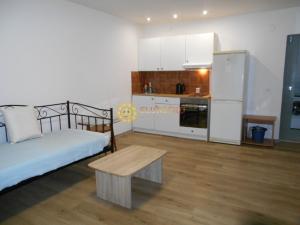 Pronájem bytu 1+kk, Hradec Králové - Svobodné Dvory, Bohdanečská, 25 m2