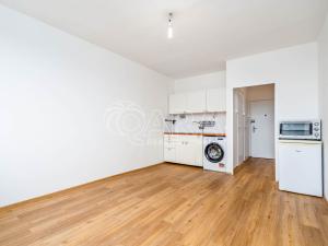 Pronájem bytu 1+kk, Praha - Braník, Nad lesním divadlem, 25 m2