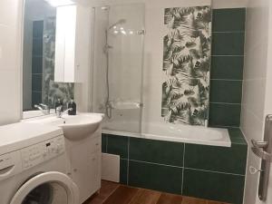 Pronájem bytu 2+1, Karlovy Vary, nábřeží Jana Palacha, 60 m2