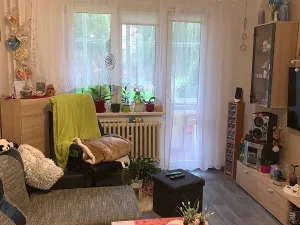 Prodej bytu 3+1, Hranice, Obránců míru, 71 m2