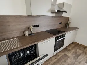 Pronájem bytu 3+kk, Plzeň, Plzeňská, 95 m2