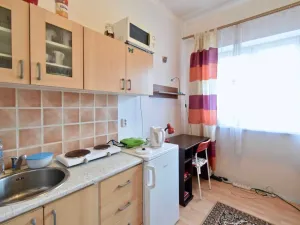 Pronájem bytu 1+kk, Brno - Staré Brno, Náplavka, 20 m2