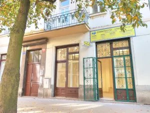 Prodej obchodního prostoru, Praha - Nusle, 34 m2