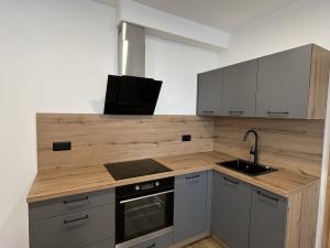 Pronájem bytu 2+kk, Olomouc - Řepčín, Aloise Rašína, 46 m2