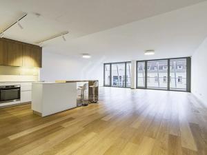 Pronájem bytu 4+kk, Praha, 178 m2