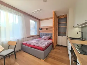 Prodej bytu 1+kk, Praha - Vinohrady, Perucká, 28 m2