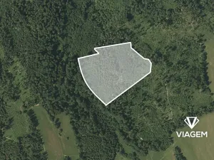 Prodej lesa, Spálov, 19116 m2