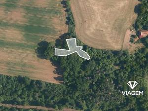 Prodej lesa, Katusice, 1936 m2